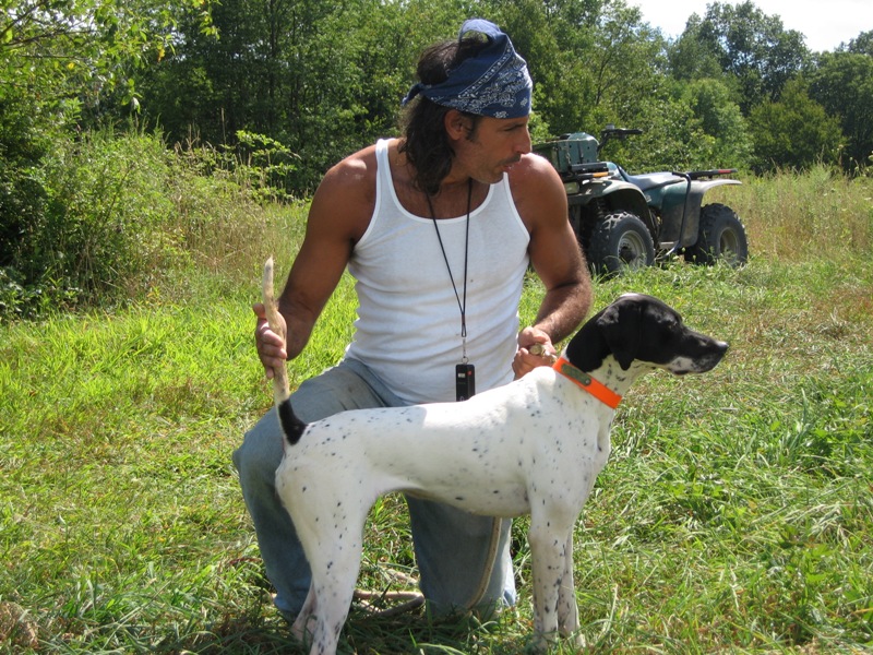 gun-dog-training